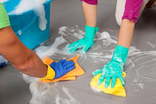 Professional rug cleaning process for a living room area rug
