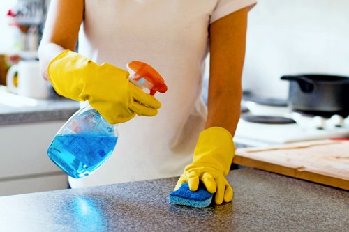 Essential tools used for sofa cleaning at home