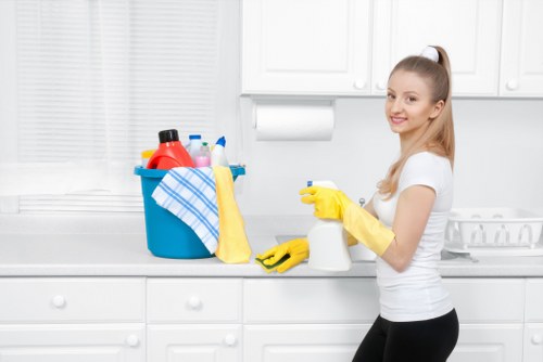 Home mattress cleaning with gentle stain removal supplies