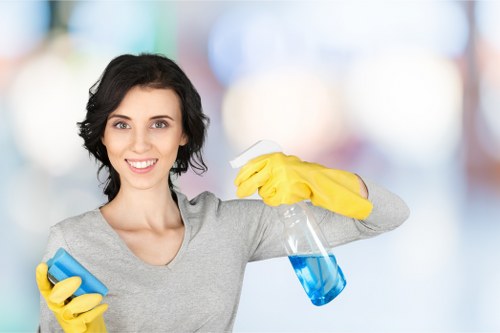 Removing common stains from a fabric sofa