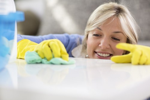 Specialist odour removal treatment for carpet and rug stains